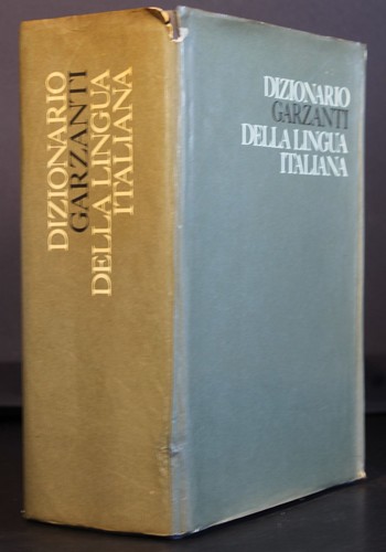 Dizionario della lingua - dizionario,