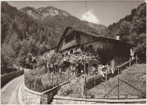 Nebbiu cadore 1000 - di, m.1000