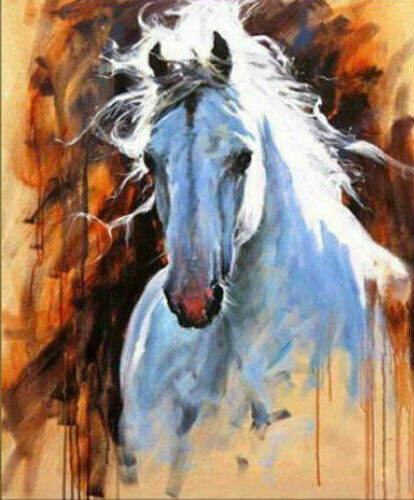 Quadro olio tela - olio,