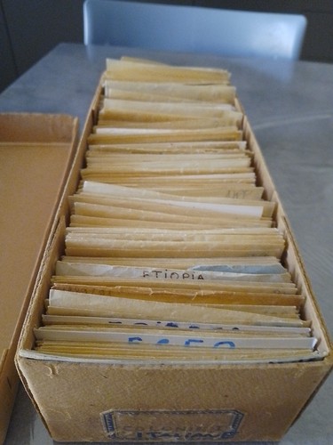 Archivio numerato colonie - numerato,