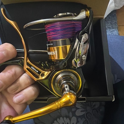 Mulinello pesca daiwa - pesca,