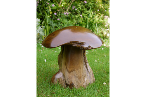 Scultura fungo radice - , teak
