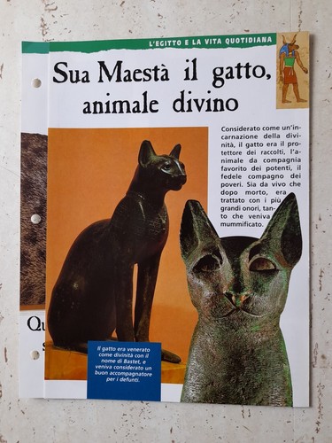 Clipping egitto storia - clipping,