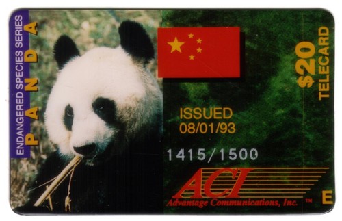 Panda gigante endangered - panda,