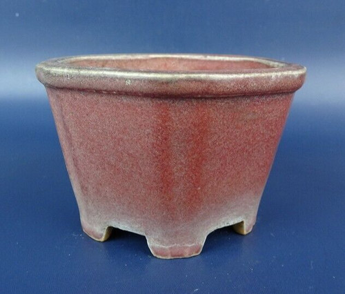 Vaso per bonsai giapponese