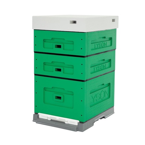 Lyson alveare dadant bottino - alveare,