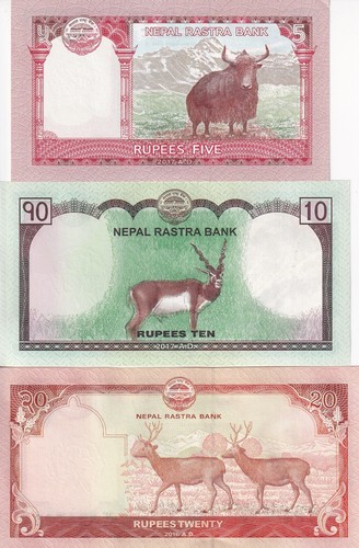 Nepal set pcs - nepal,