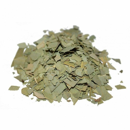 Agrifoglio foglie taglio - foglie,