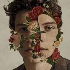 Shawn mendes self - self, titled