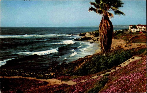 Cartolina usa california - cartolina, 1956