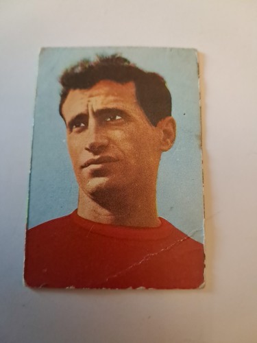 Figurina cartonata verbania - figurina,
