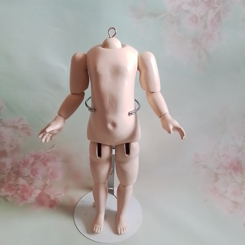 Nuovo corpo francese fb11n - francese,