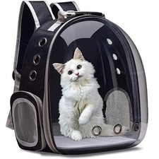 Bubble cat puppy bird - cat,