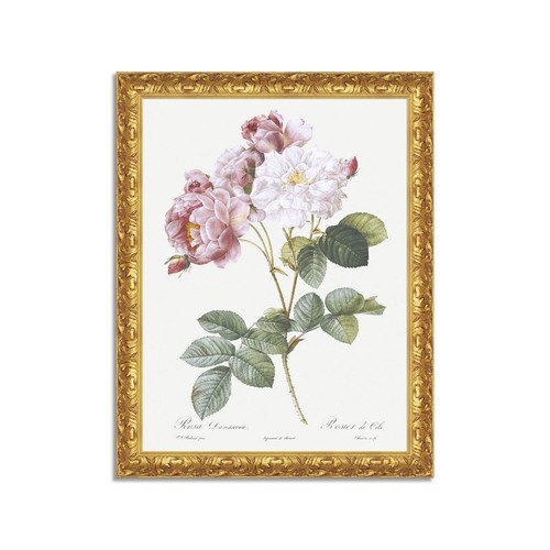 Quadro stampa tela - quadro,