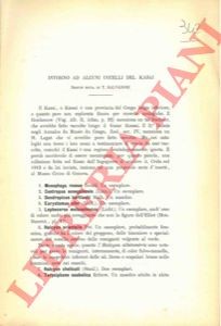 Salvadori tommaso intorno - tommaso,