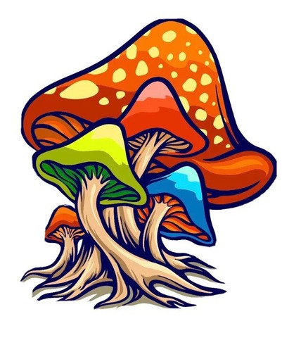 Adesivo funghi colorati - , 4"