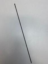 raggi anteriori e posteriori