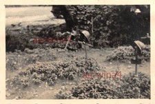 Franz. Tombe dei soldati