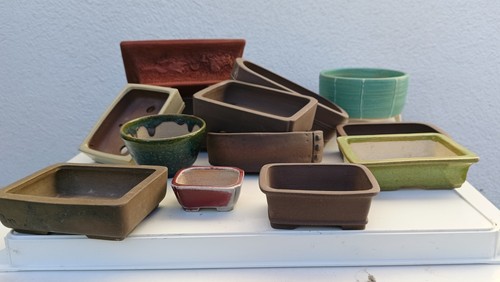 Vasi per bonsai