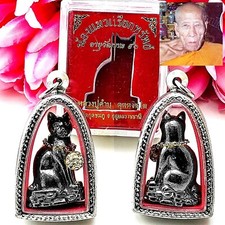 Kitty Lucky Cat Whisper