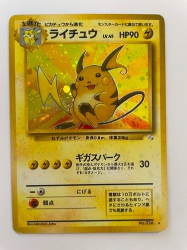 Raichu fossil - raichu, –