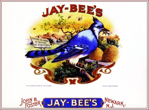 Jay bee blue - bird, bees