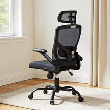 Ergonomic Mesh Office Chair