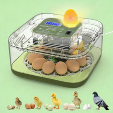 Incubatrice 12 uova
