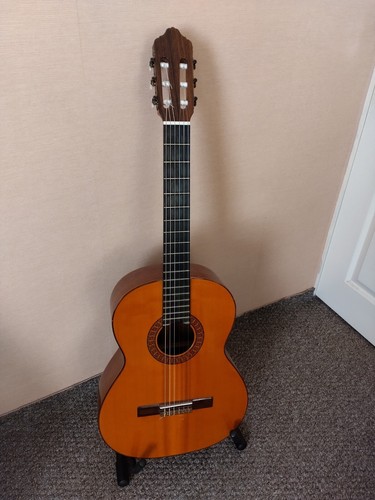 Chitarra flamenca manuel - chitarra,