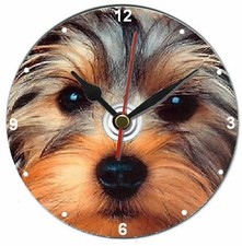 Yorkshire Terrier Orologio da