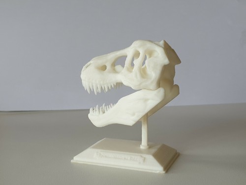 Stampa pla rex modello - pla,