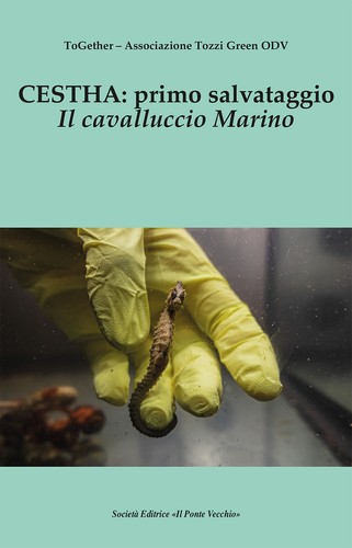 Cestha primo salvataggio il - primo,
