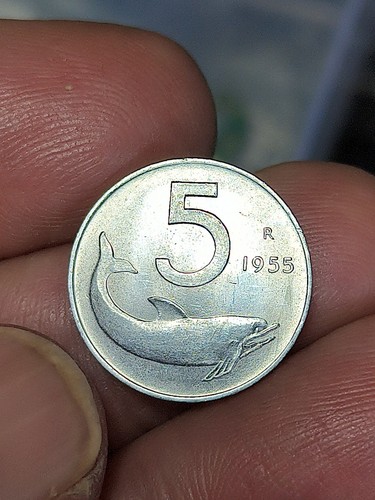 Italia 1955 moneta lire - italia,