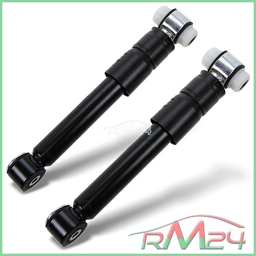 Ammortizzatore gas - 2x, a