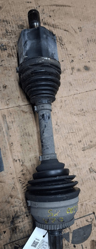 36000524 semialbero ant - semialbero,