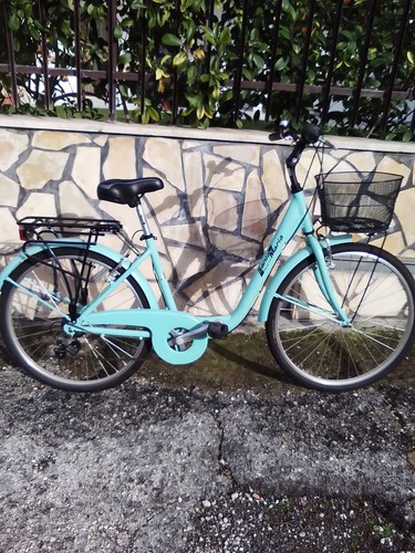 Bicicletta donna citta semi