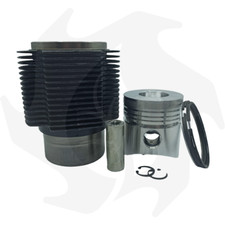 Cilindro e pistone per