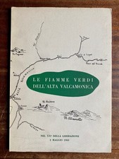 Dario Morelli - Le Fiamme