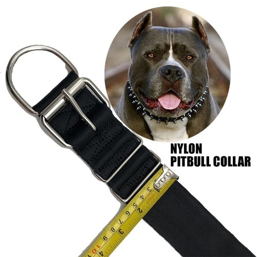 Collare pitbull strati - pitbull, 4