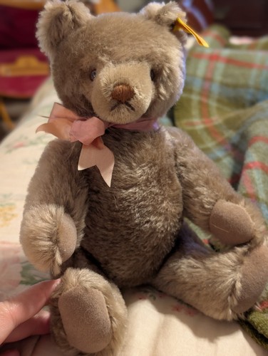 Steiff bear - steiff,