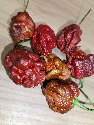 Semi peperoncino - di,