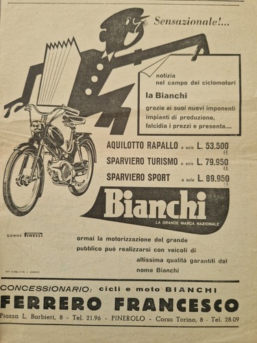 Bianchi aquilotto sparviero - aquilotto,