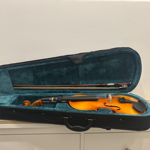 Violino usato - violino,
