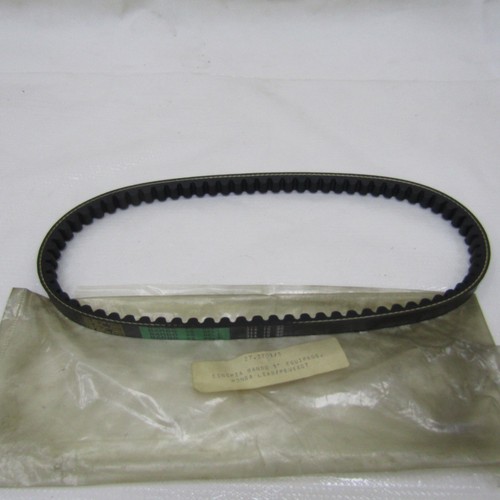 Cinghia trasmissione bando - cinghia,
