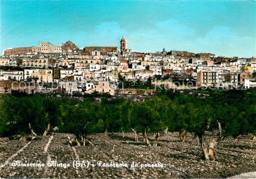 Minervino murge panorama - murge,