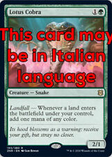 MTG LOTUS COBRA FOIL EXC -