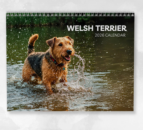 Calendario welsh terrier 2026 - calendario,
