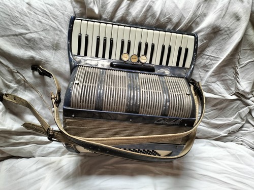 Fisarmonica vintage - fisarmonica,