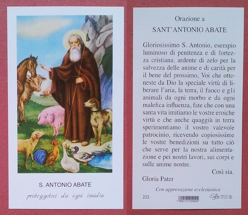 Santino holy card antonio - card:, s.