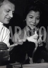 Foto Vintage Animali Domestici Gatto Europeo dal veterinario stampa 12x20 cm